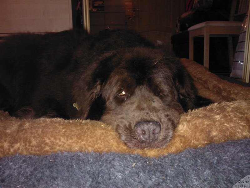 Фотография № 124542