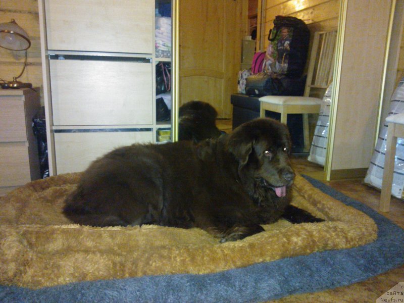 Фотография № 124543