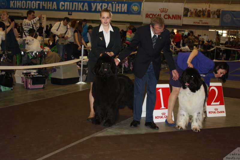 Фотография № 124544