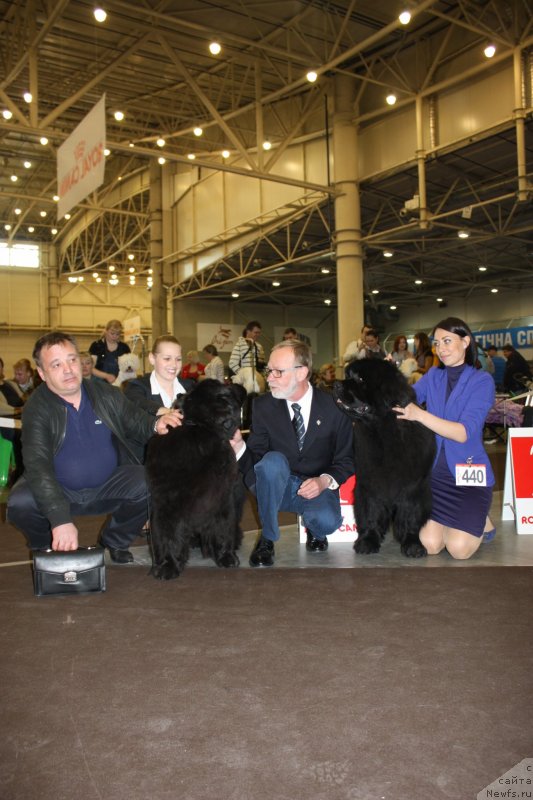 Фотография № 124545