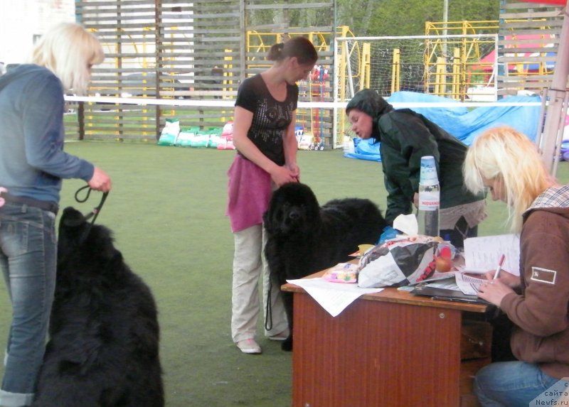 Фотография № 124550