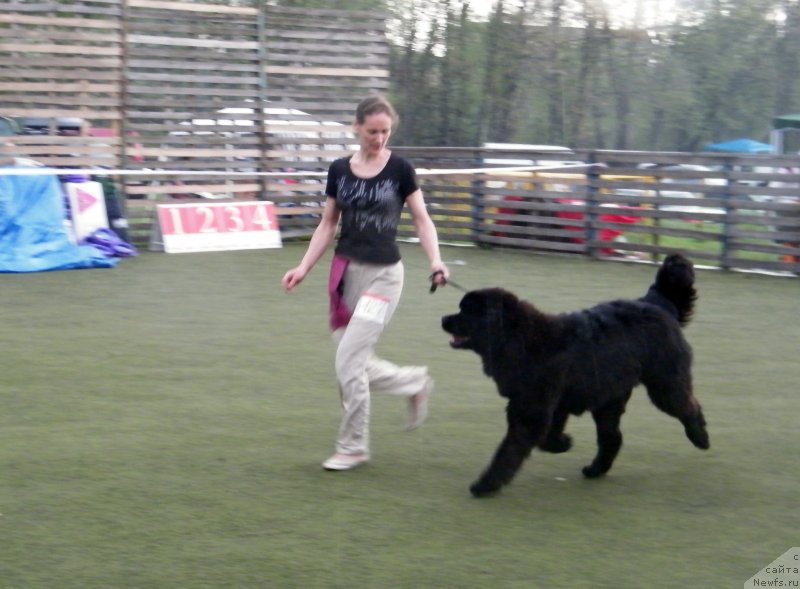 Фотография № 124551