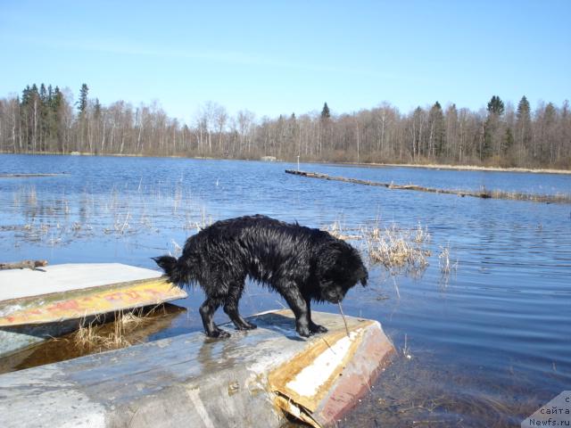 Фотография № 12460