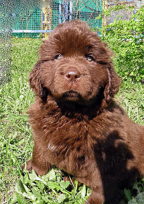 Фотография № 124615