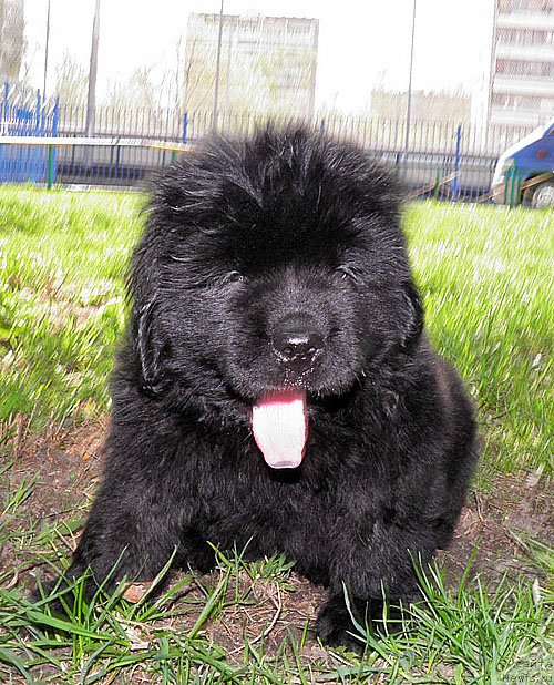 Фотография № 124617