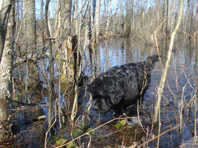 Фотография № 12464