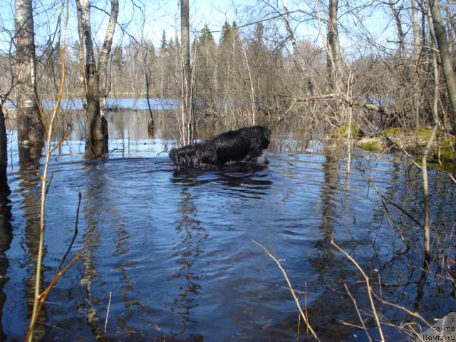 Фотография № 12465