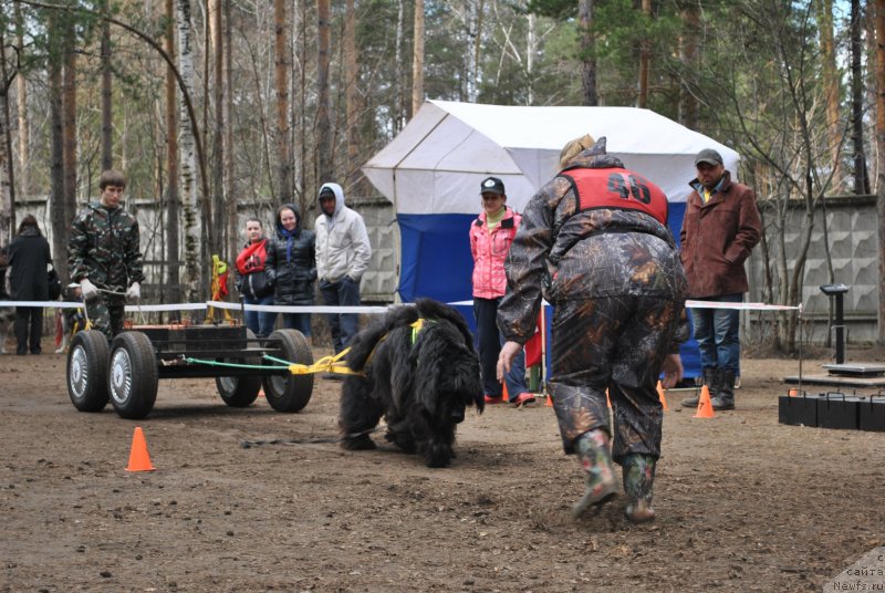 Фото: Акватория Келвин Олимпус