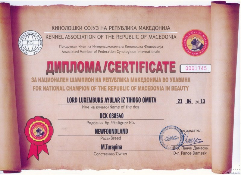 Фотография № 124657