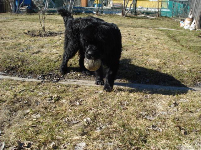 Фотография № 12467