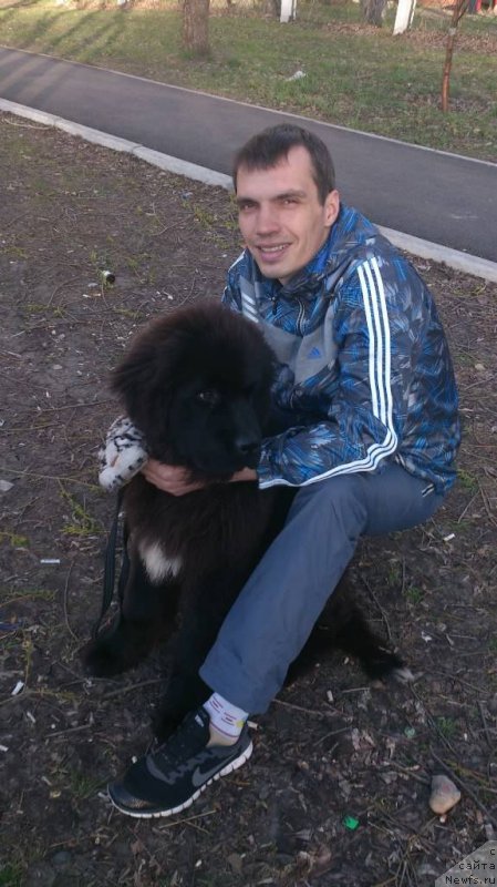 Фотография № 124678