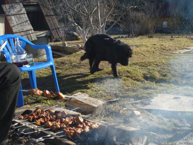 Фотография № 12469