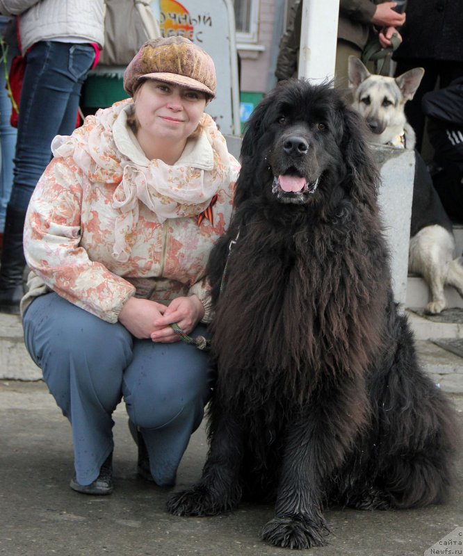 Фотография № 124716