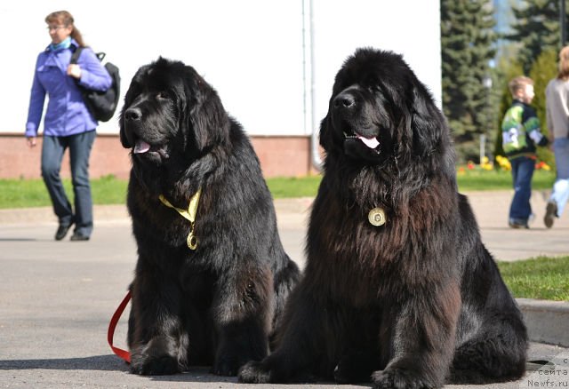 Фотография № 124718