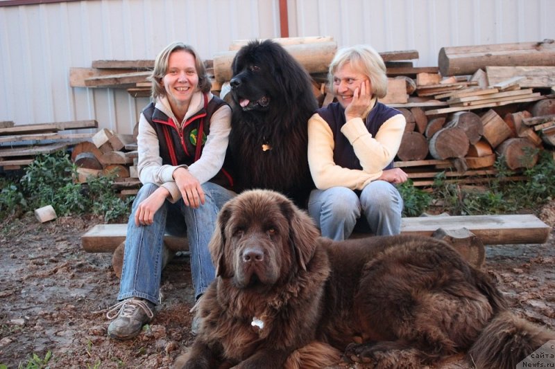 Фотография № 124719