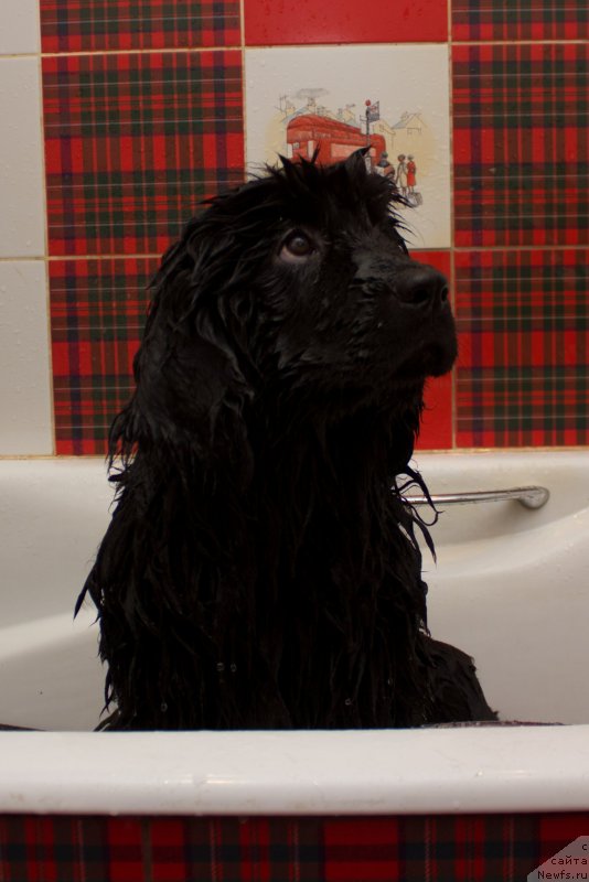 Фото: Наталья Емеельянова