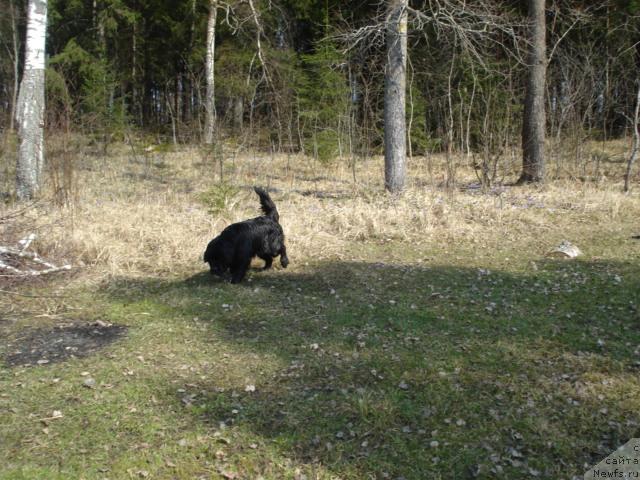 Фотография № 12474