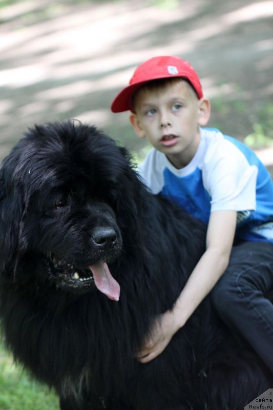 Фотография № 124765