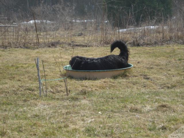 Фотография № 12477