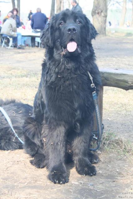 Фотография № 12478