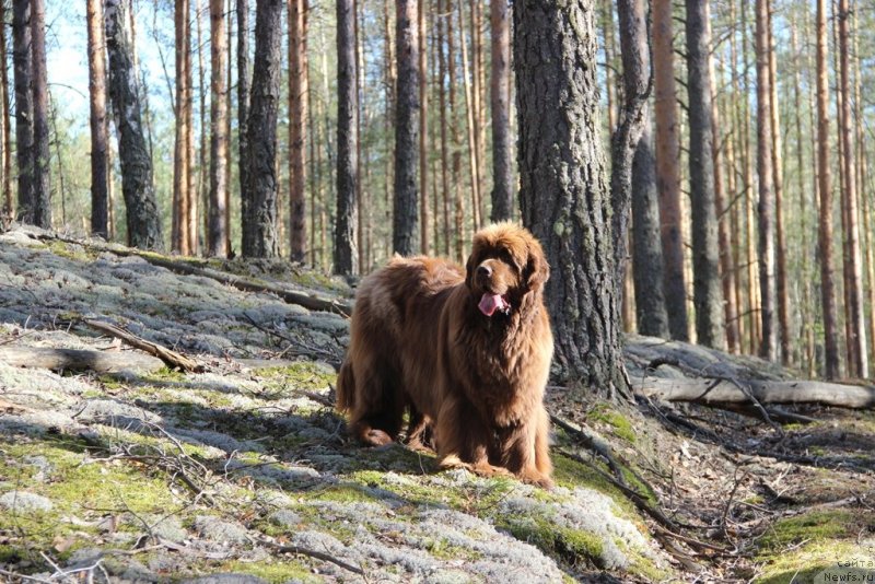 Фотография № 124792