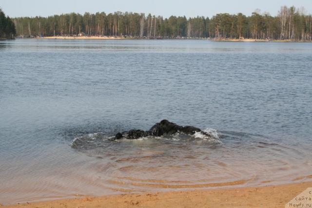 Фотография № 12480