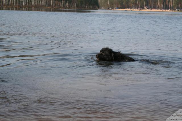 Фотография № 12481