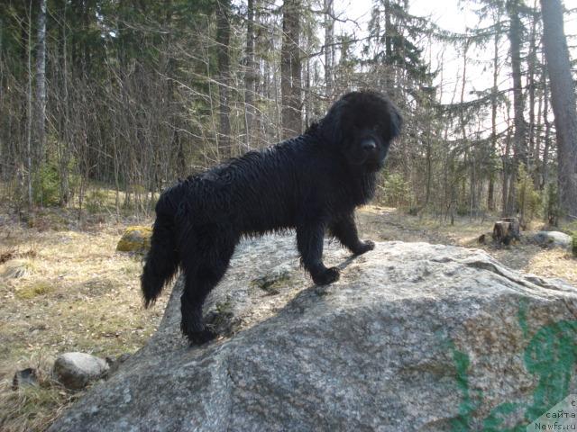 Фотография № 12486