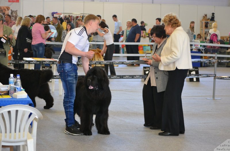 Фотография № 124887