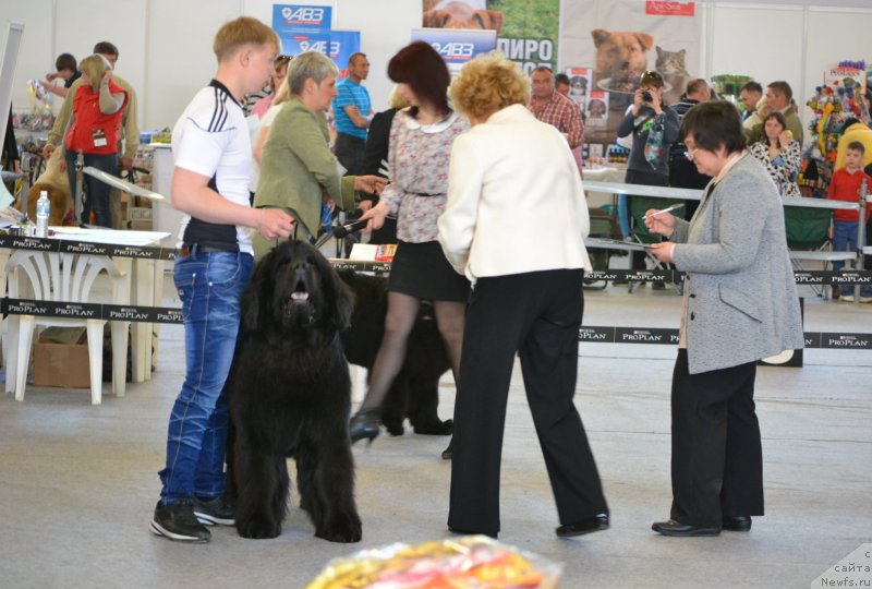 Фотография № 124888