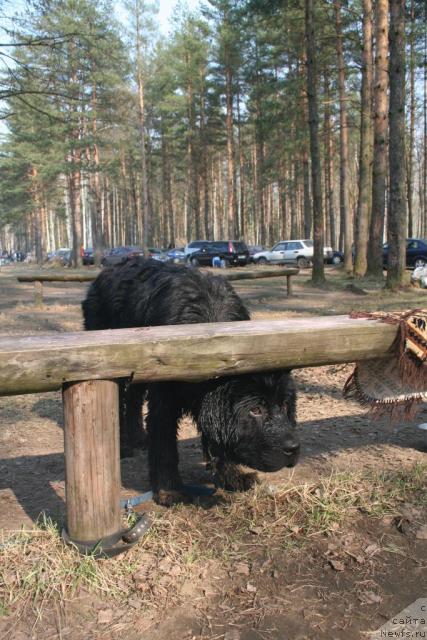 Фотография № 12489