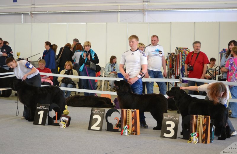 Фотография № 124891