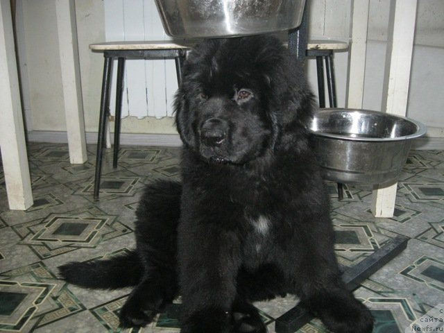 Фото: [d12342] дома