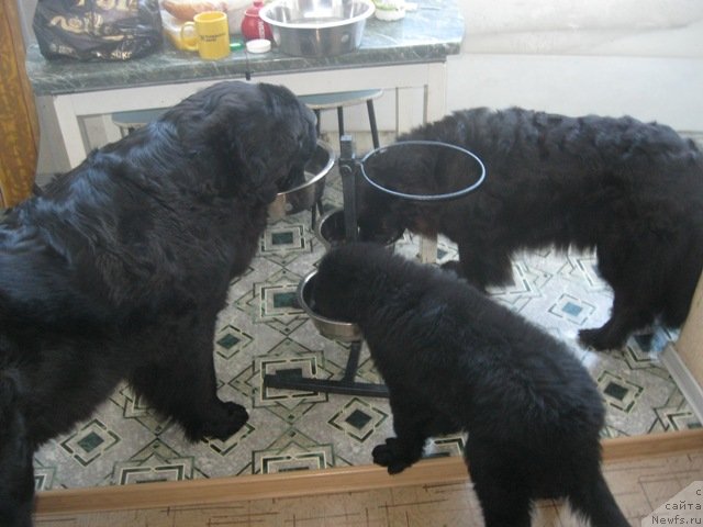 Фотография № 124907