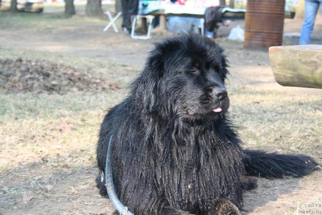 Фотография № 12491