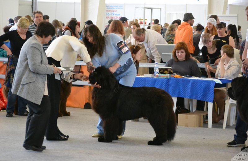 Фотография № 124998