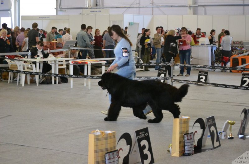 Фотография № 124999