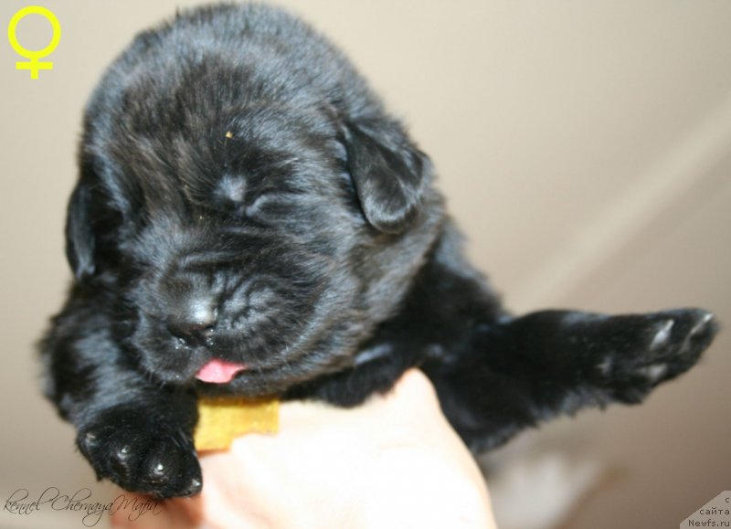 Фотография № 125021