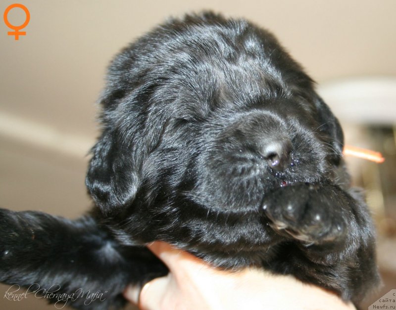 Фотография № 125022