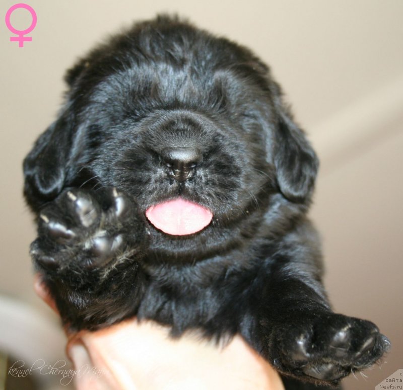 Фотография № 125024