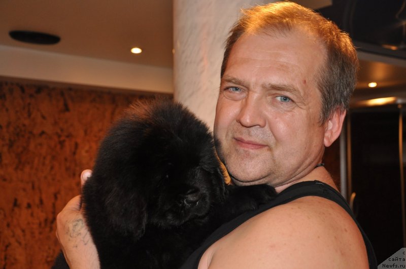 Фото: ньюфаундленд Их Высочество Глория Айрис (Ih Visochestvo Gloria Airis)