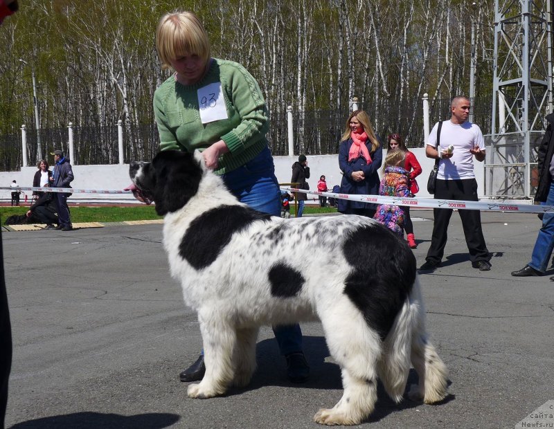 Фотография № 125056