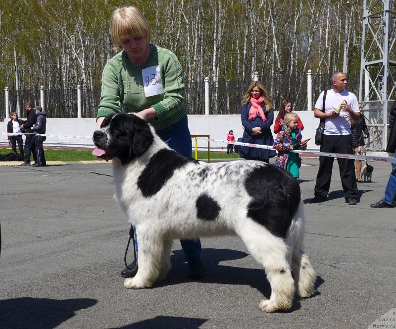 Фотография № 125057