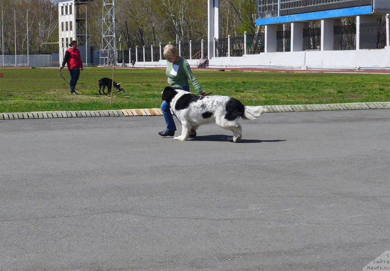 Фотография № 125058