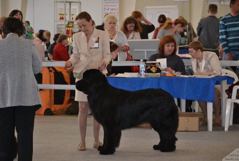 Фотография № 125059