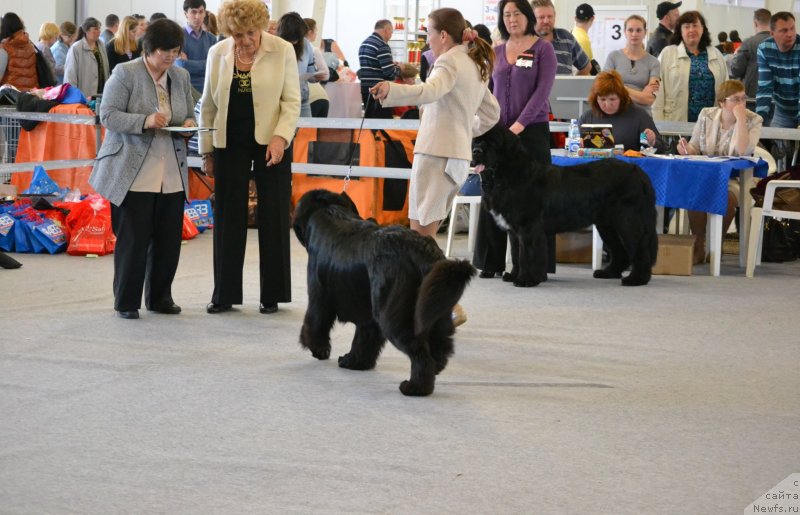 Фотография № 125062