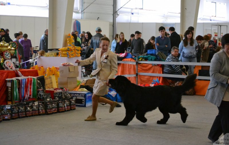 Фотография № 125063