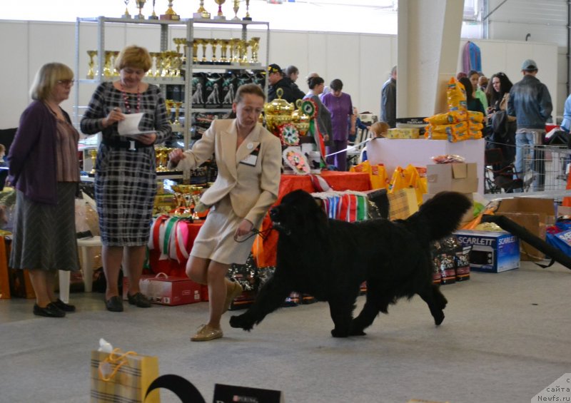 Фотография № 125064