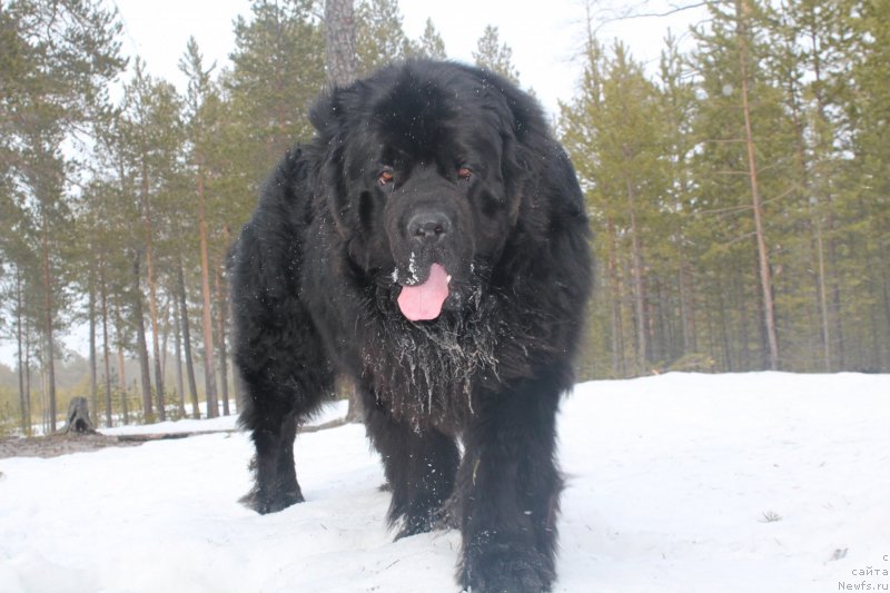 Фотография № 125103