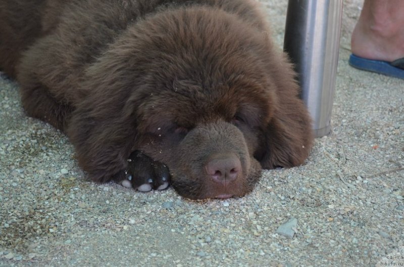 Фотография № 125120